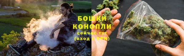 молекула духа Богородск