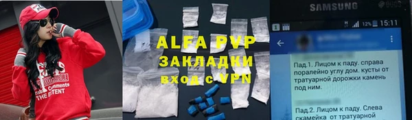 молекула духа Богородск