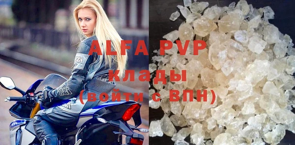 прущий лед Богданович