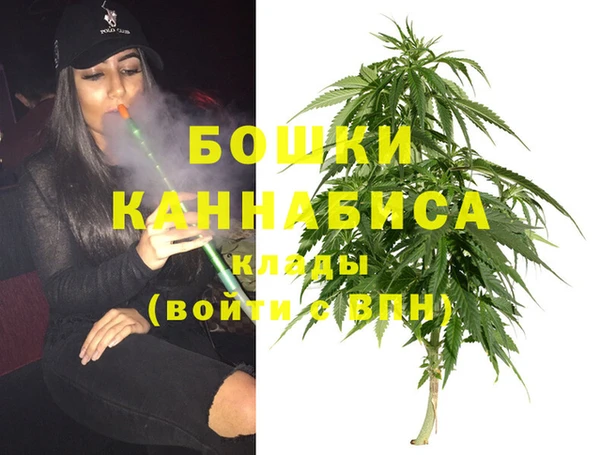 прущий лед Богданович