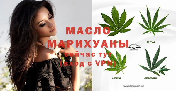прущий лед Богданович